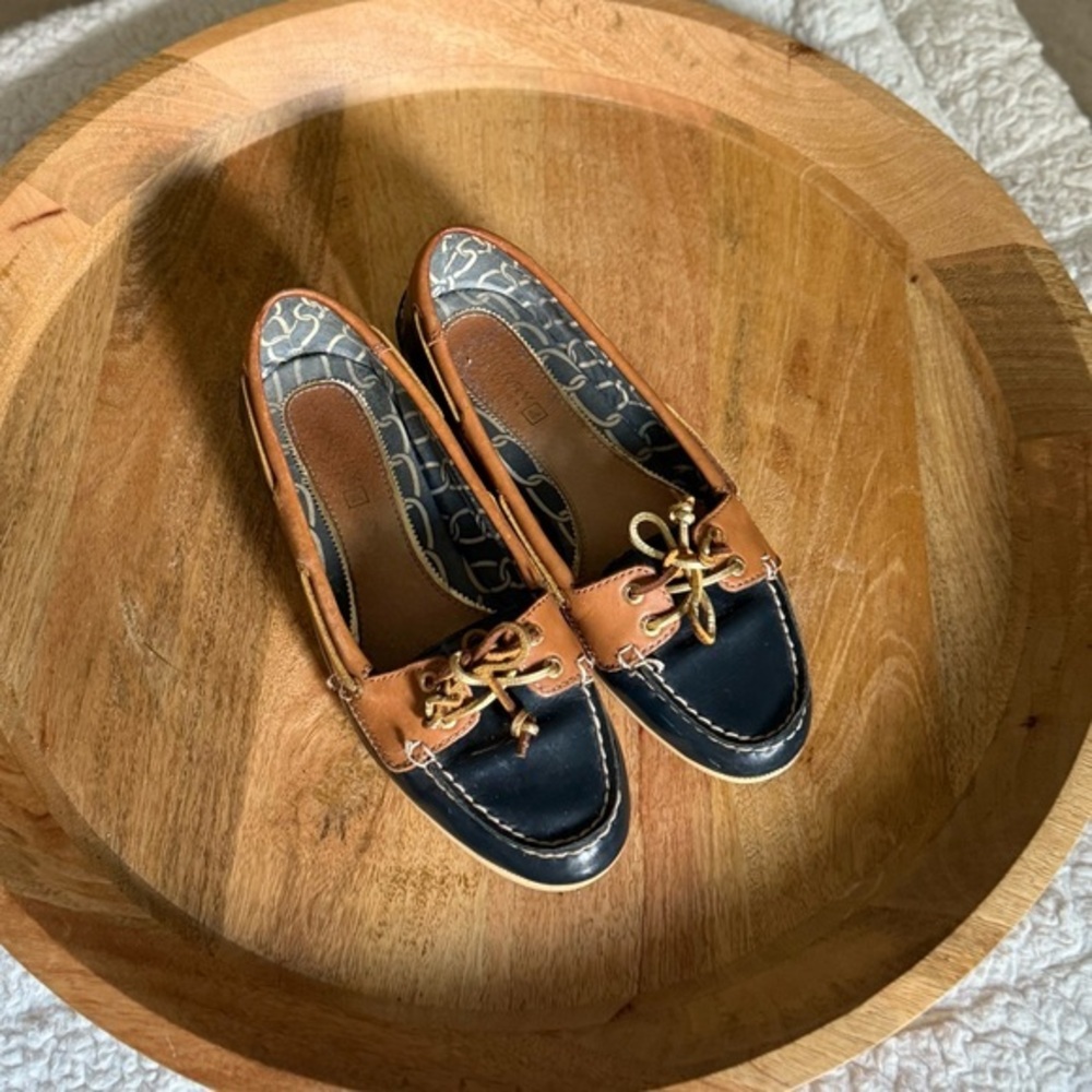 Sperry Nautical Brown and Blue Loafers